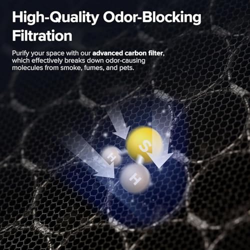 Vital 100S Replacement Filter - Levoit