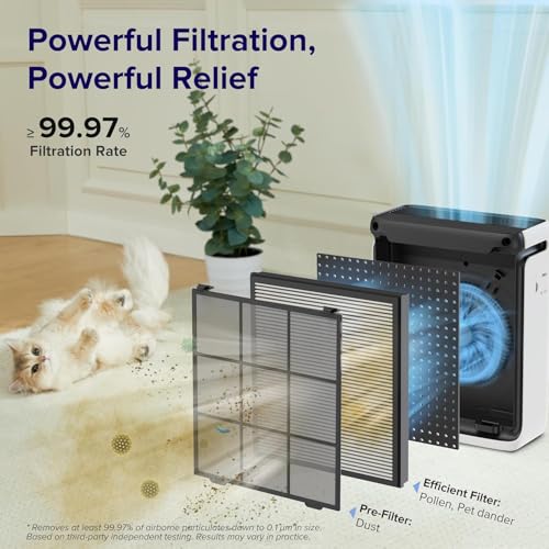 Vital 100S Replacement Filter - Levoit