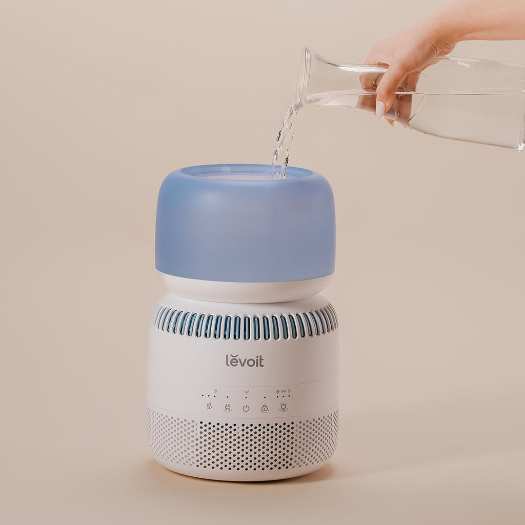 Levoit Sprout Evaporative Humidifier with easy top-fill design, being refilled with water for convenient use