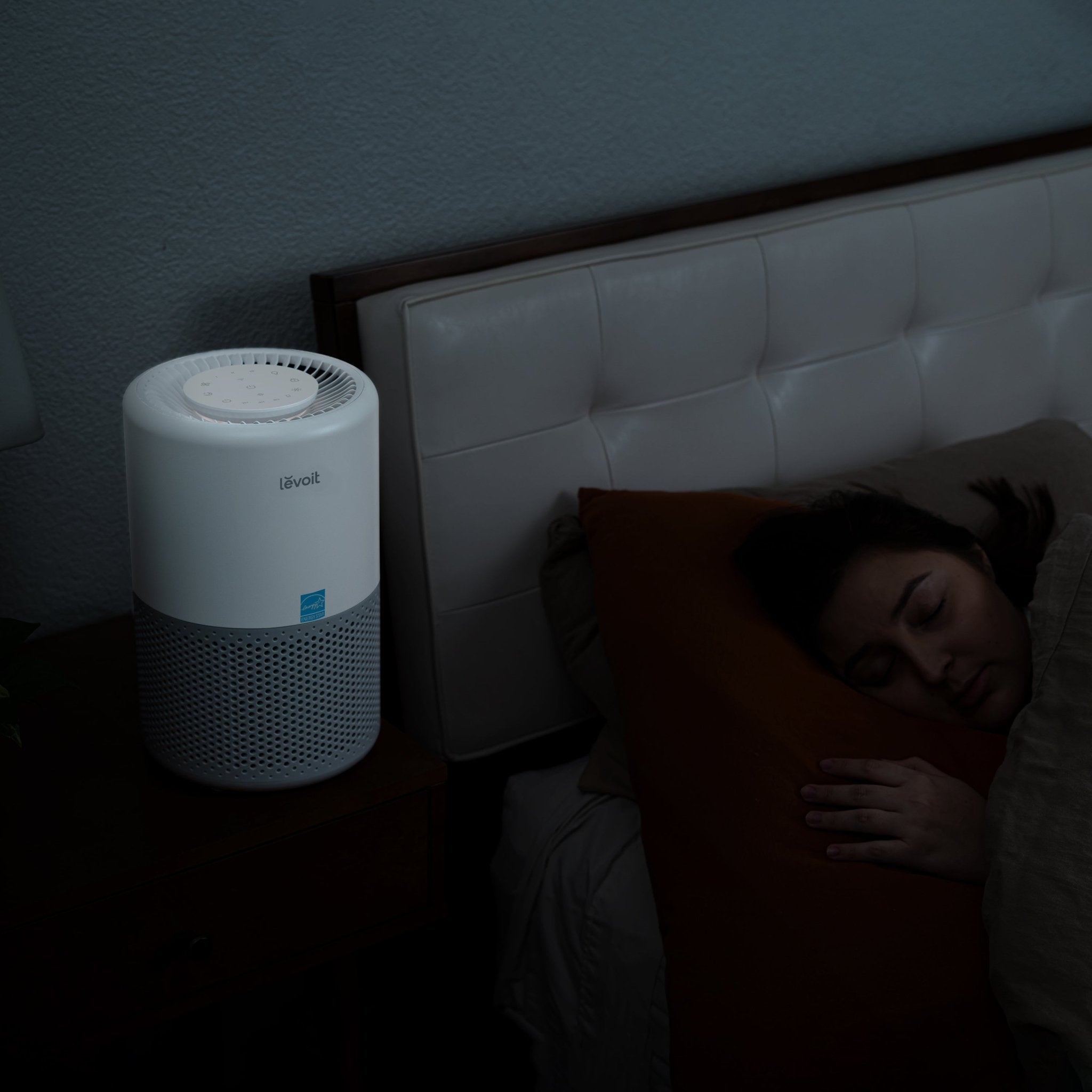 Levoit Core® 200S - P Smart Air Purifier - Levoit