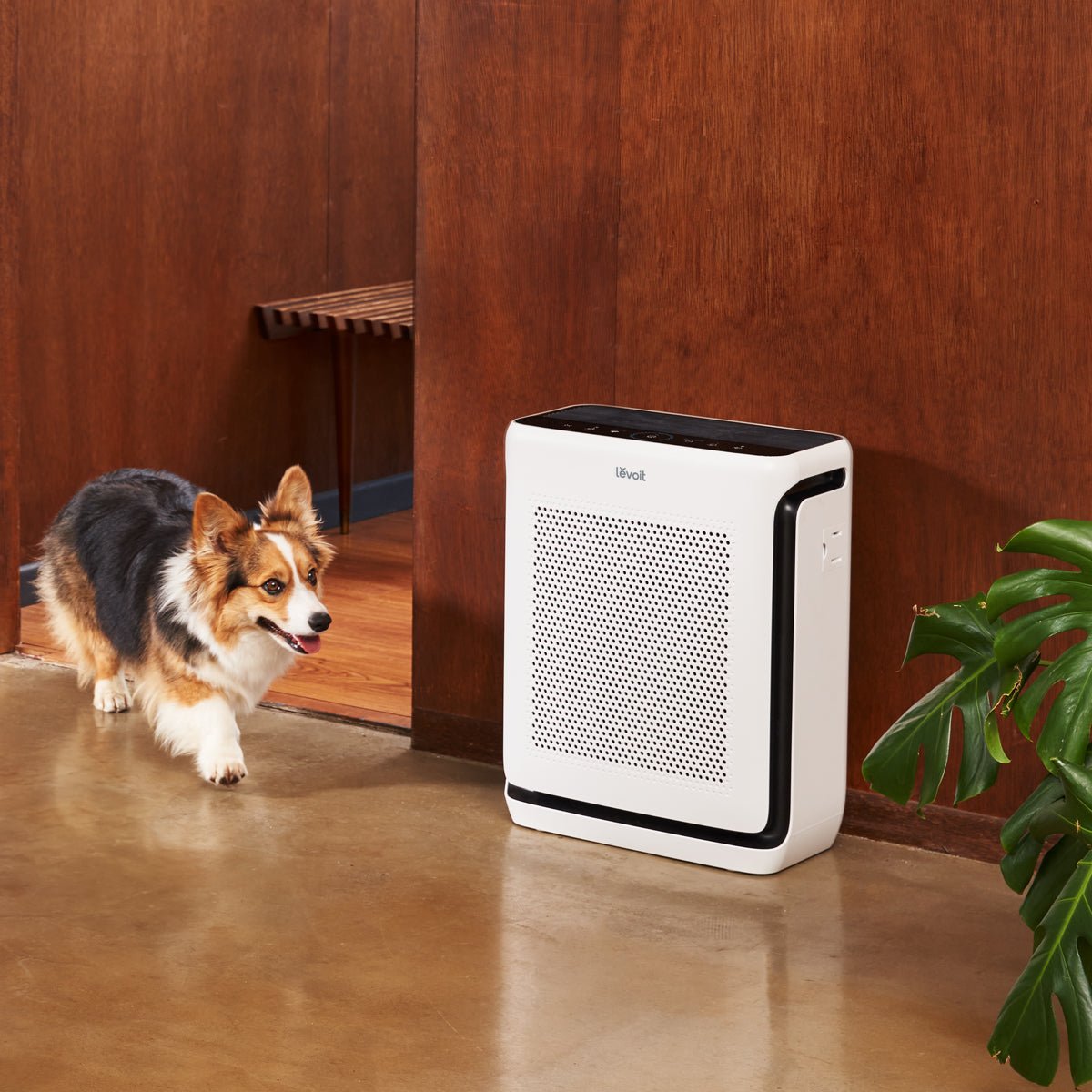 Levoit Vital 200S-P Smart Air Purifier for pet hair and pet family