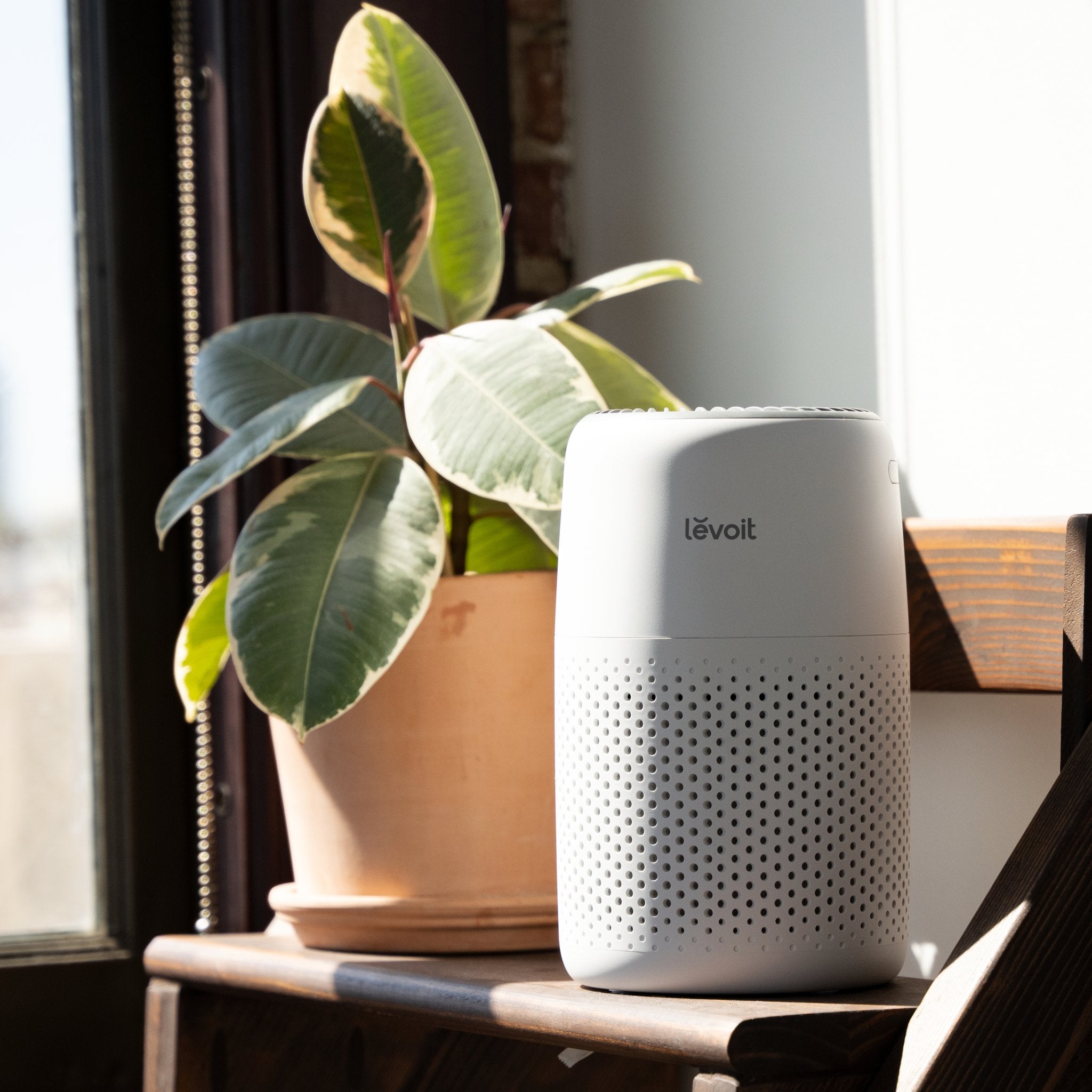Levoit Core® Mini-P Air Purifier placed by a window with a plant, Perfect for small room.
