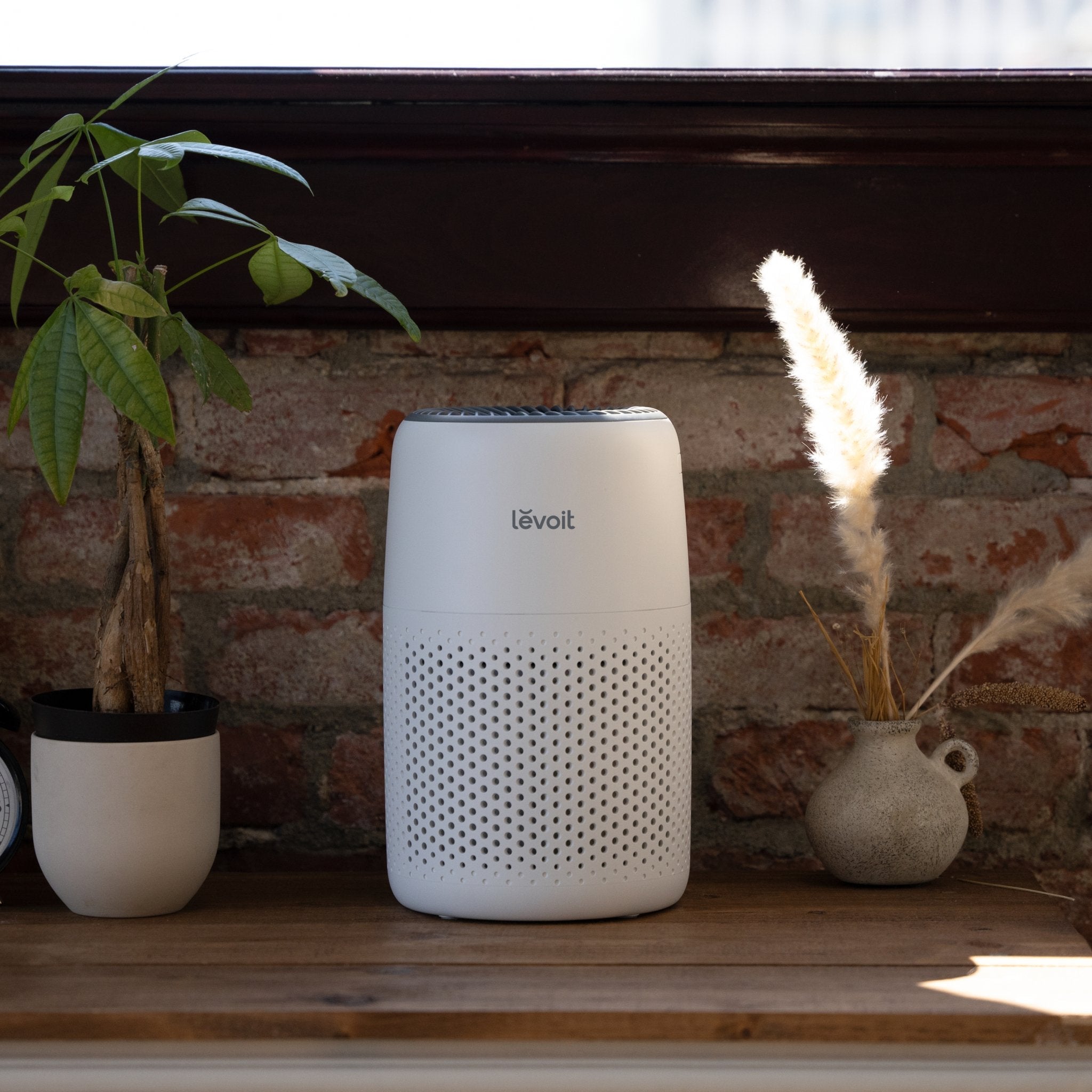 Levoit Core® Mini-P Air Purifier placed by a window with a plant, showcasing its compact design in a bright, natural setting.